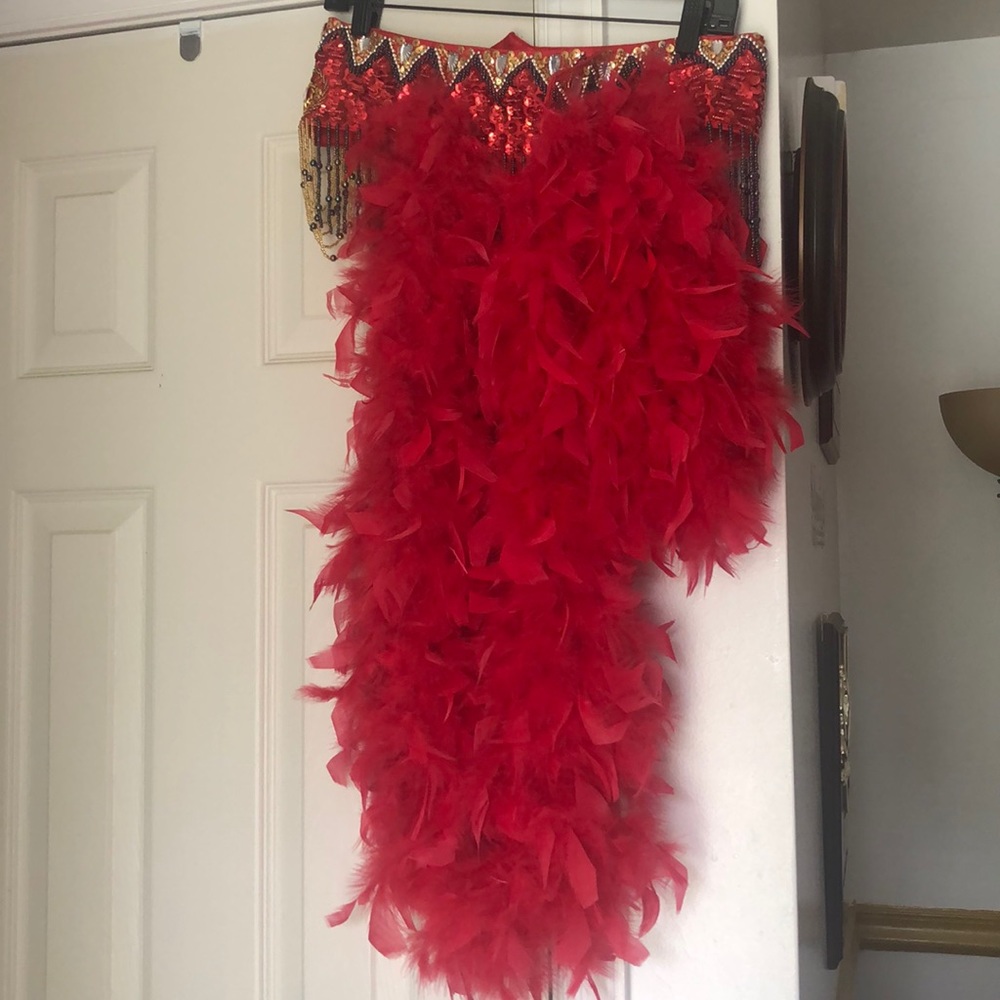 Gently worn custom made showgirl/carnival costume - Picture 8 of 14